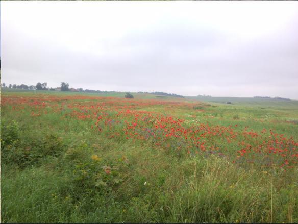 Fajne Miejsce Villa Jeziorany ภายนอก รูปภาพ